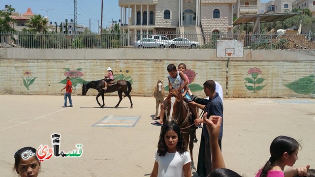 كفرقاسم - فيديو  : تعليم هواية ركوب الخيل في مدرسة جنة ابن رشد في اليوم الرابع لصيف الصادقة 